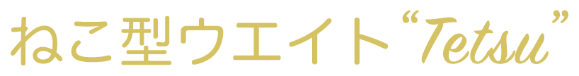 ねこ型ウエイト ”Tetsu”